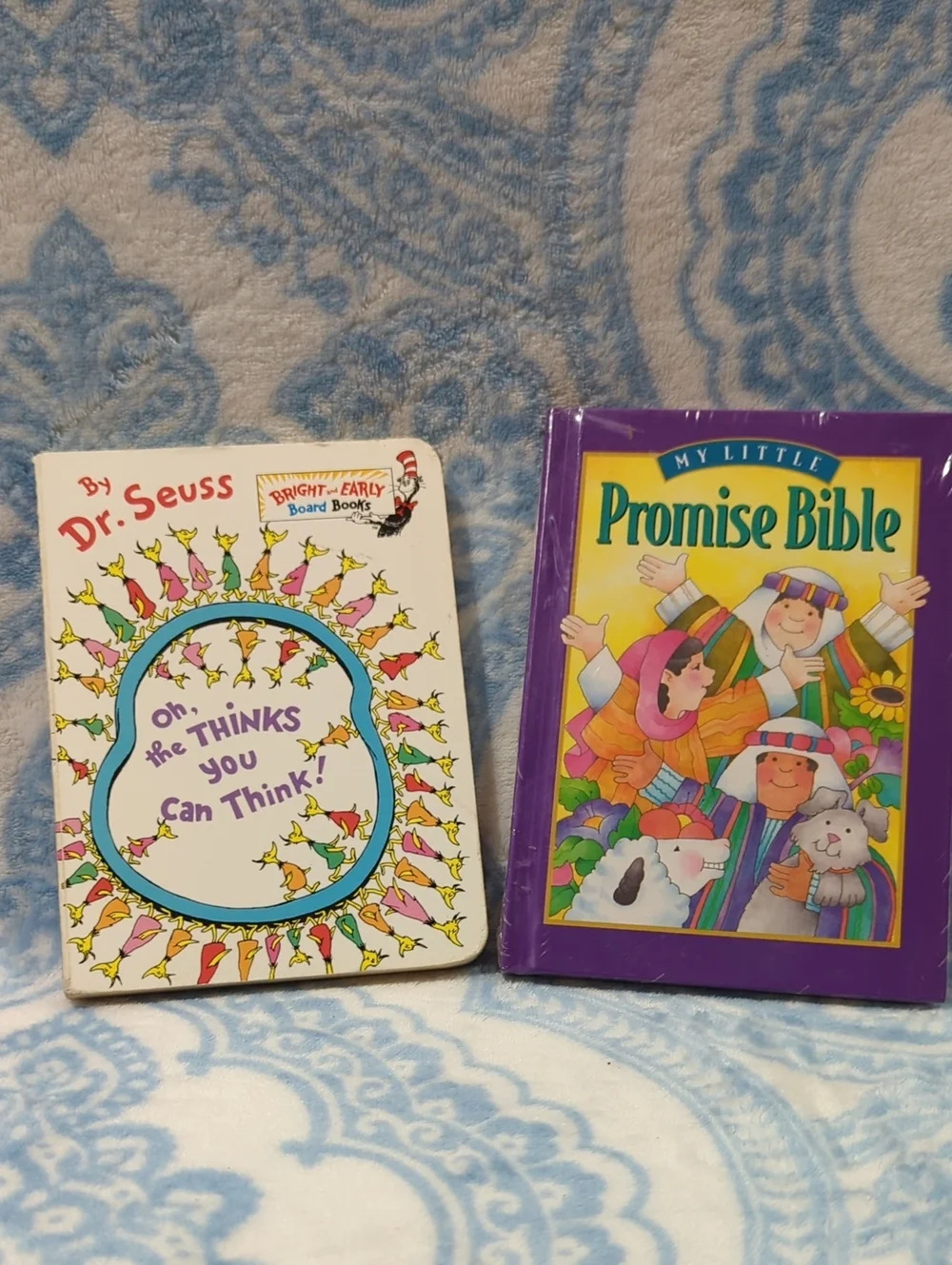 Children's Book Pair- Childrens Promise Bible & Dr. Suess